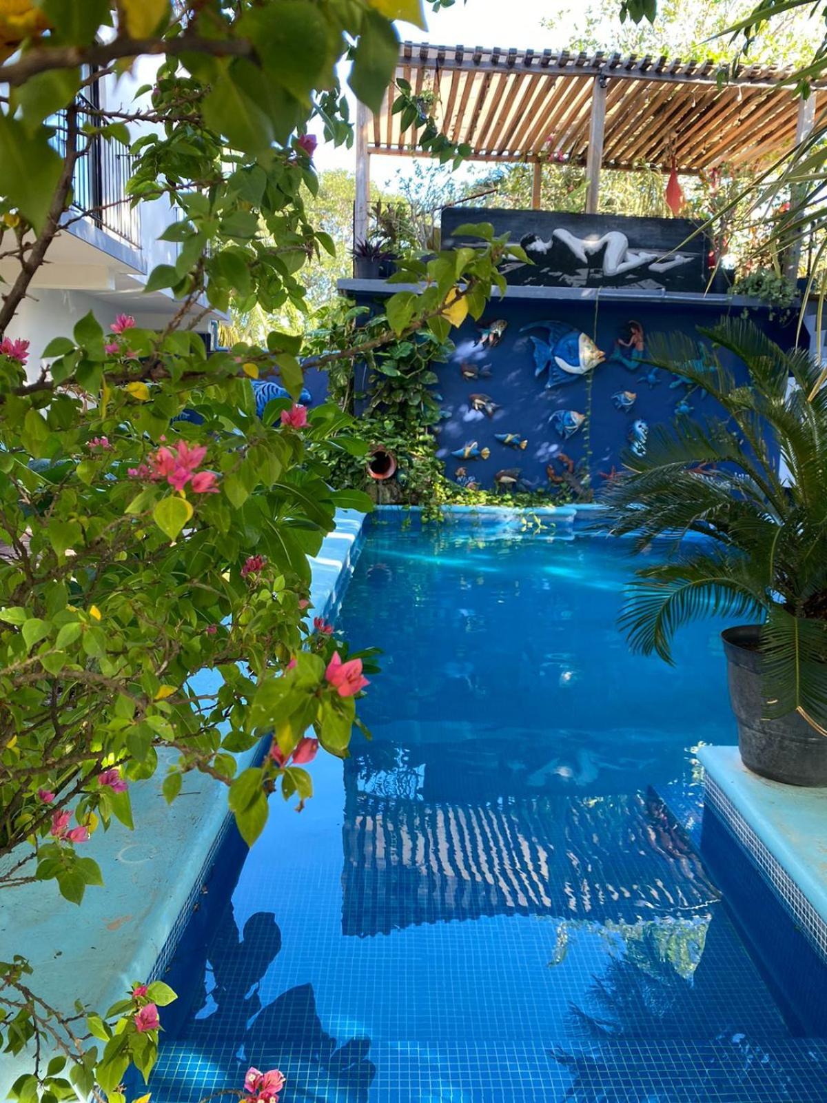 Casa Chukum Hotel บากาลาร์ ภายนอก รูปภาพ Butterfly House